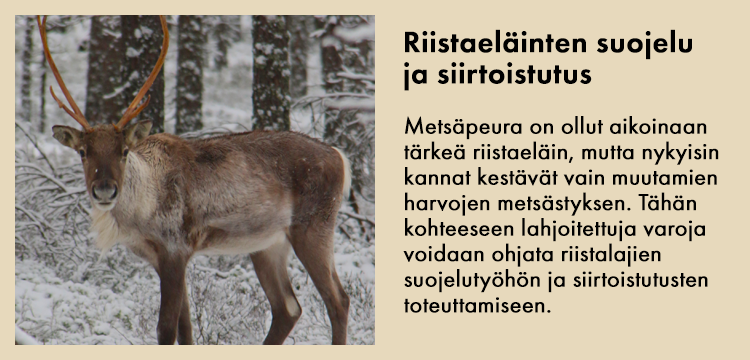 Riistan suojelu ja siirtoistutus