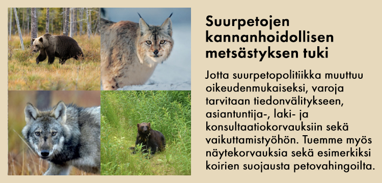 Suurpetojen kannanhoidollinen metsästys